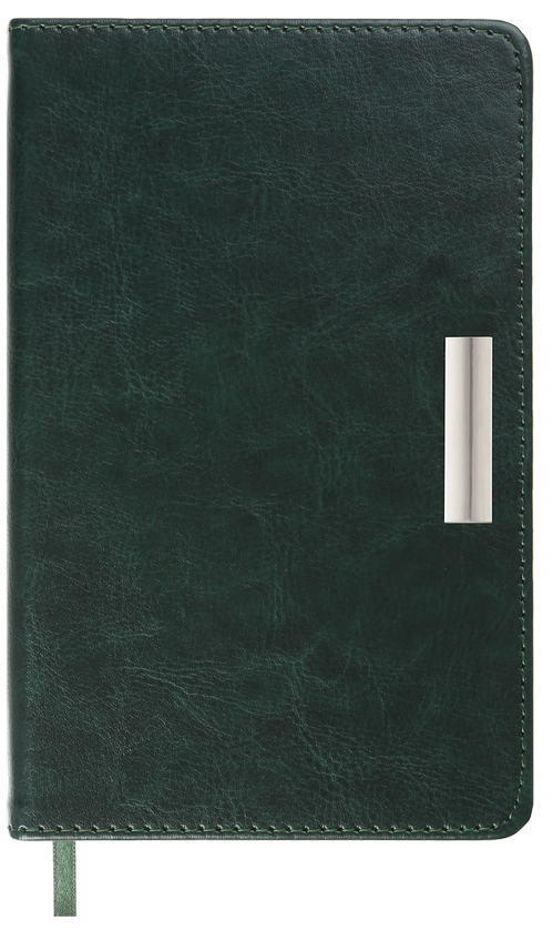 Ежедневник датированный А6, 2024, Salerno, зеленый, BM.2530-04