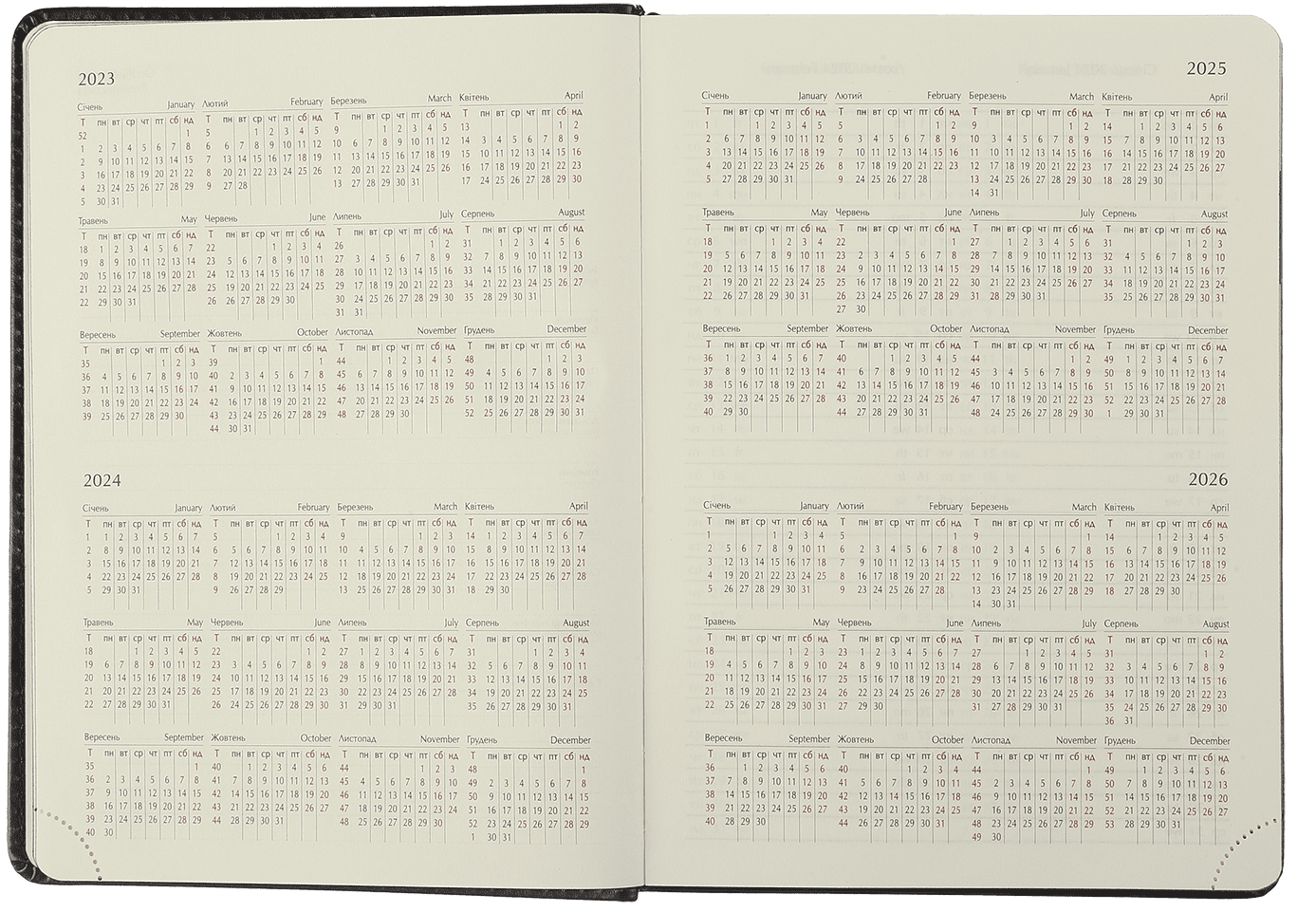 Ежедневник датированный 2024, Enigma, черный, BM.2113-01 7