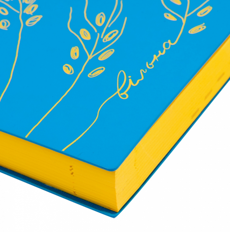 Ежедневник датированный А5 2024, "Freedom", мягкий, 368 стр., синий, 252490, Leo Planner 2