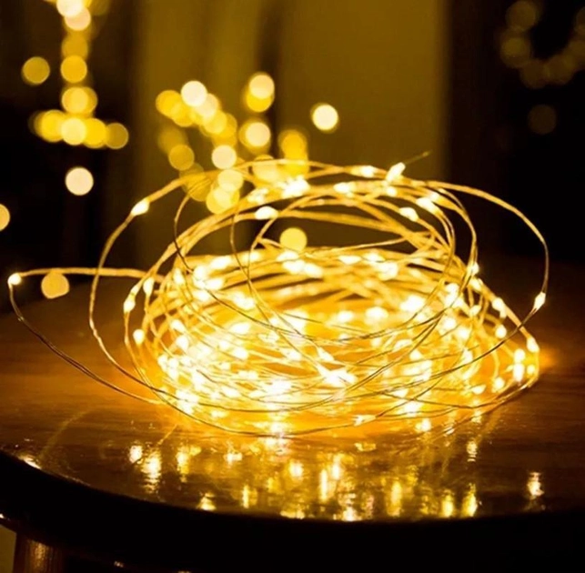 Гирлянда-роса на батарейках 20 LED, 2 м, белый теплый, 1975-07