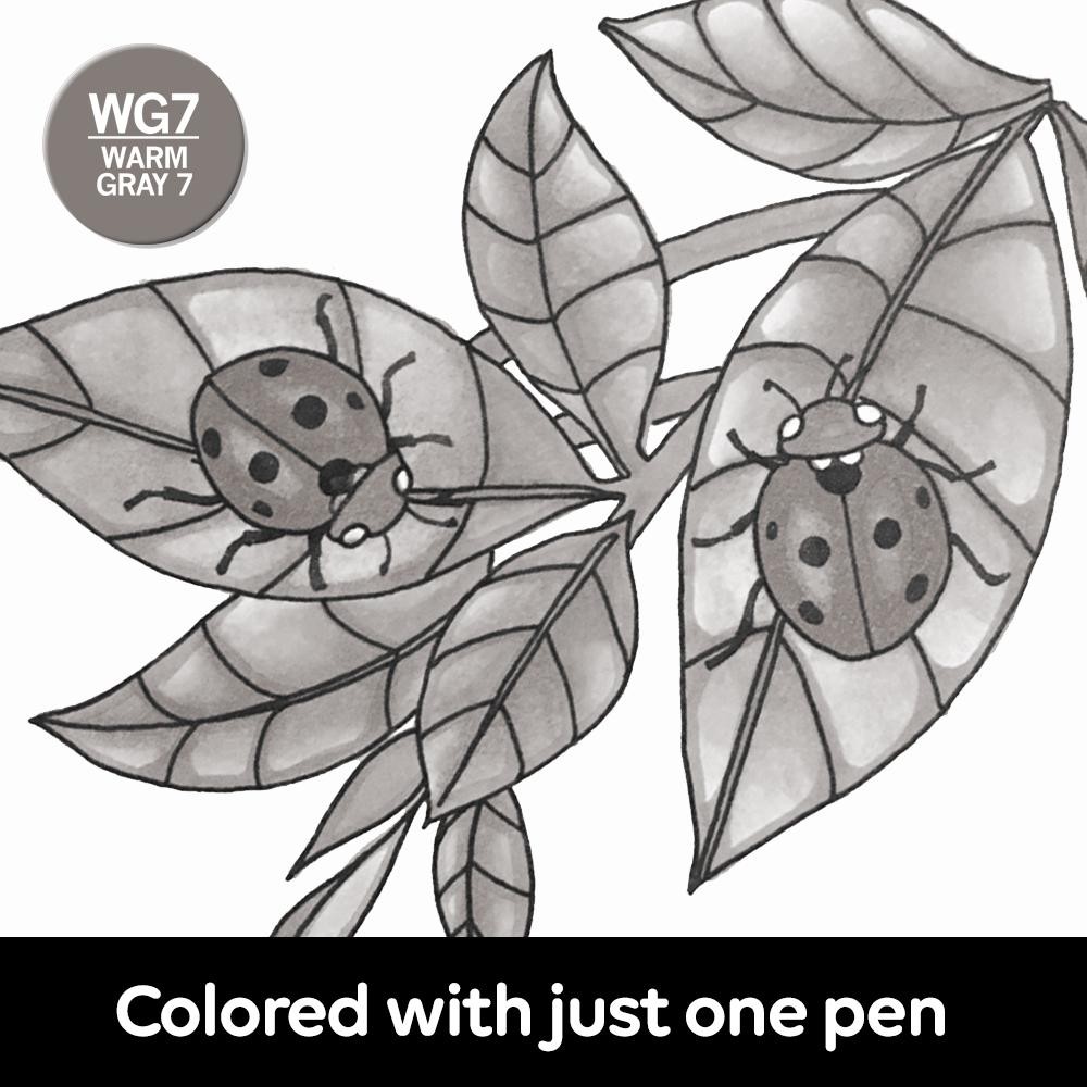Маркер Chameleon - Warm Grey 7 (теплий сірий), WG7 2