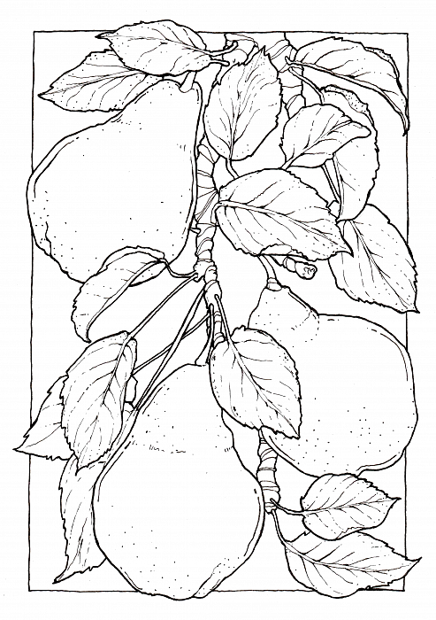 Розмальовка акварельна SKETCHMARKER А5 10 арк. "Garden", SMCB-GARD 1