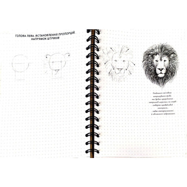 Блокнот "SketchBook. Візуальний експрес-курс з малювання (жовтий)" (у) 2