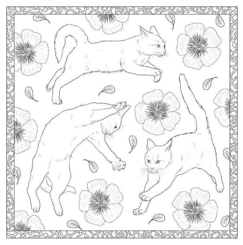 Книга для дозвілля. Арт-квадрат: Кошенята, (у) (3465) 2