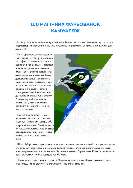 Книга для дозвілля. 100 магічних фарбованок. Камуфляж (у) (3427) 2