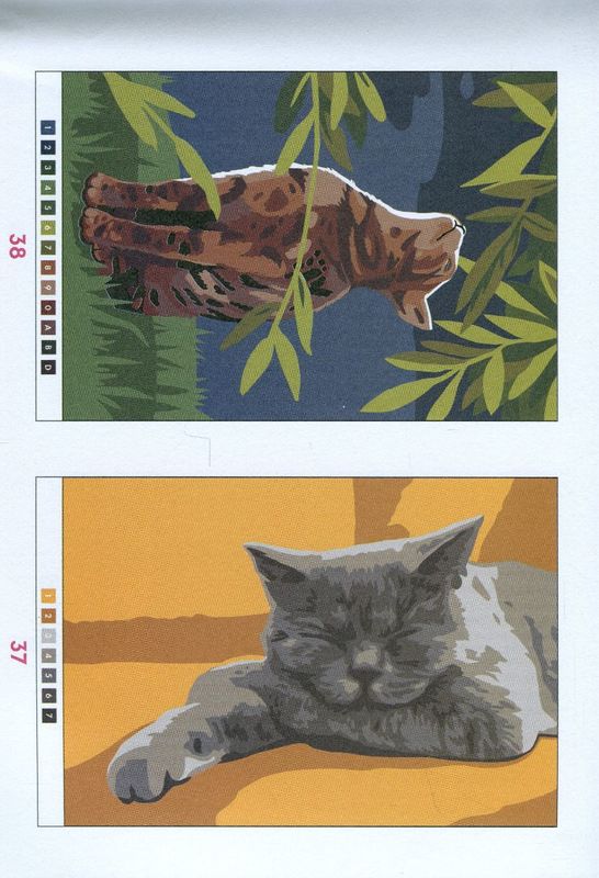 Книга для дозвілля. 50 магічних фарбованок: Котики (у) (3621) 2