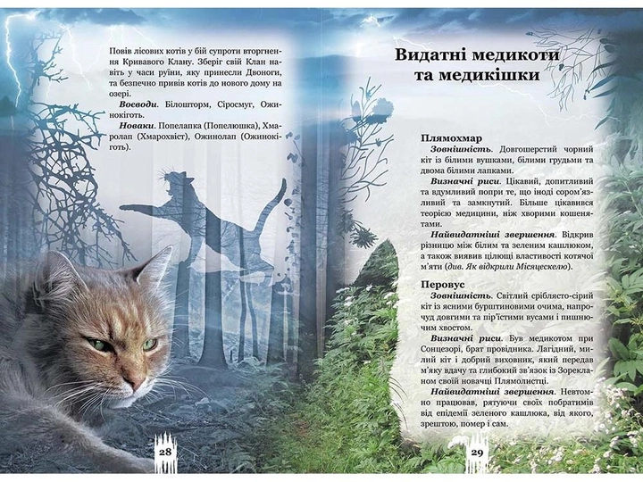Книга "Гантер Э. Коты - воины. Тайны кланов. Путеводитель по серии" (у) (0278) 2