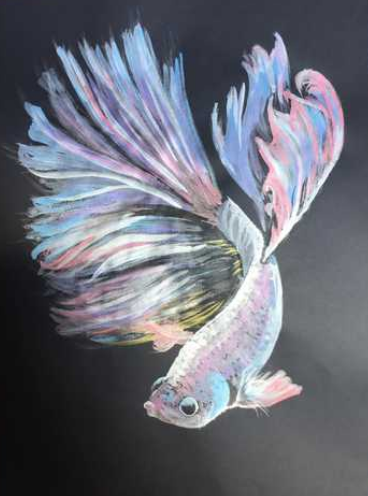 Набір олівців кольорових "Metallic pastel", 6 кол., блістер, 2305602 2