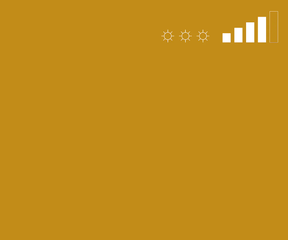 Аерозольна фарба MTN WB-265 100 мл Raw Sienna, EX011W0265M 1