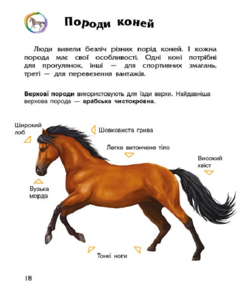 Книга "Енциклопедія дошкільника: Каспарова Ю. Коні" (у) (7816) 1