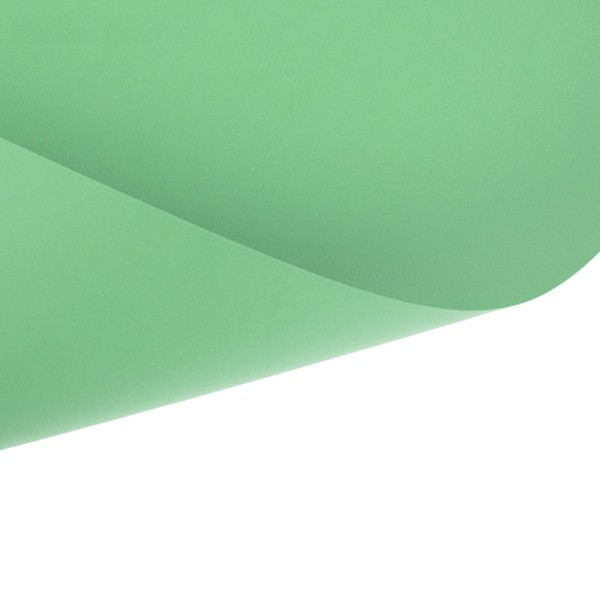 Папір для дизайну Sirio 50*65 см 170 г/м2 №24 pale green/блідо-зелений, 05924 Sadipal 2