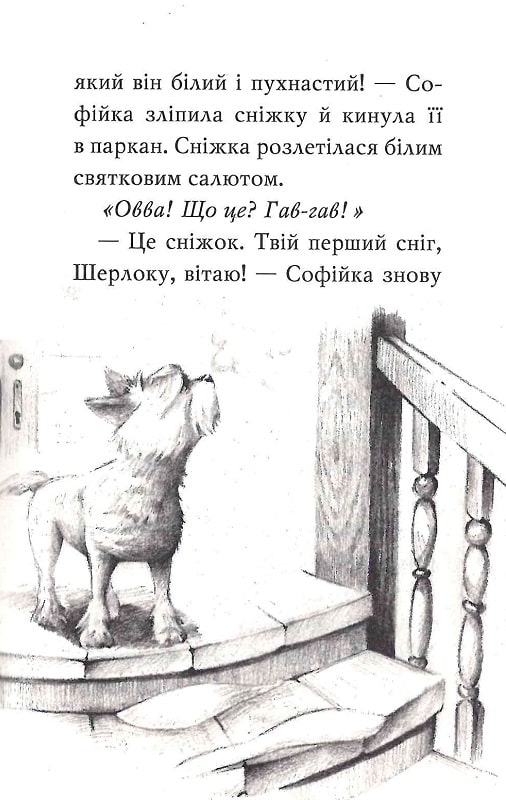 Книга "Антонова Л. Знайомтеся, Шерлок! Як воно — бути Сантою? Кн.2 (у) (8284) 4