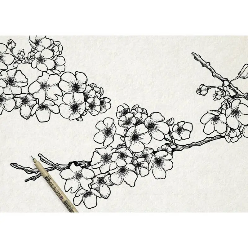 Набір лінерів Pigma Micron Design 3 шт., Sakura 2
