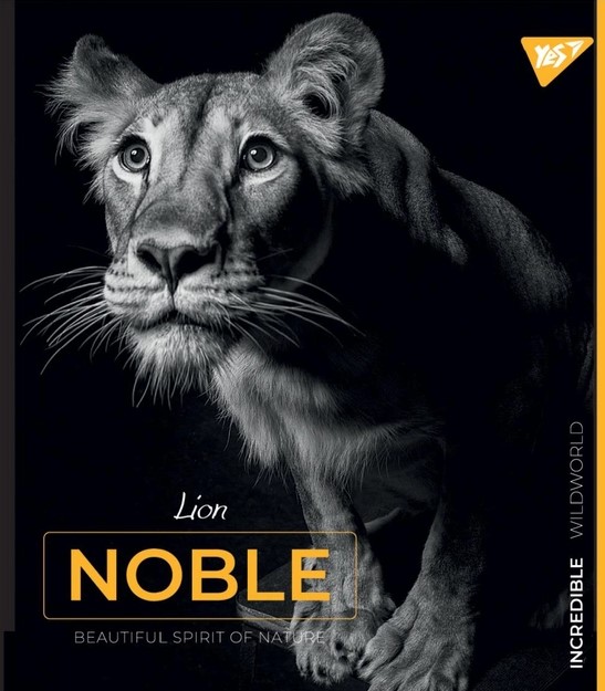 Зошит 96 кл. YES "Noble", 766896 4