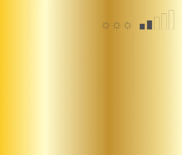 Аерозольна фарба MTN 94 400 мл Frame Gold, EX0140127 1