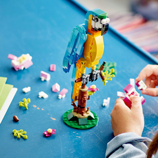 Конструктор Lego Creator "Экзотический попугай", 31136 6
