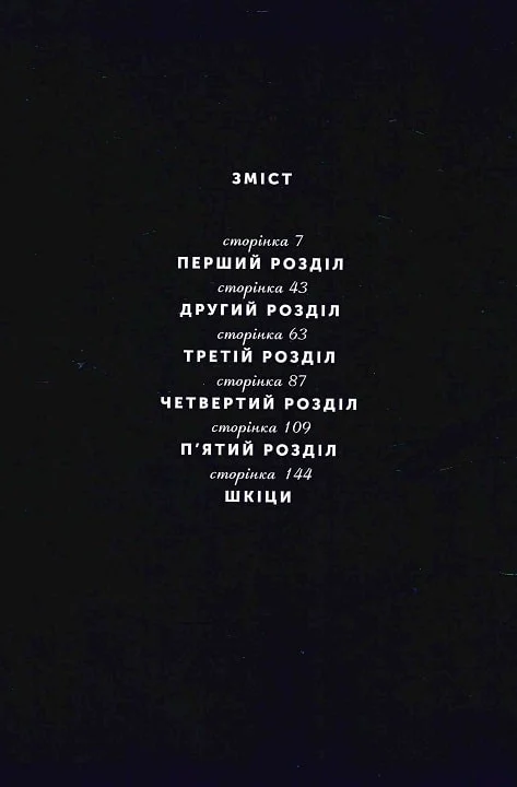 Книга комікс "Північне сяйво. Вікінги й Оракул. Фалк М." (у) (2515) 2
