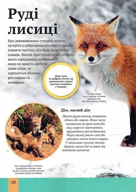 Книга "Вульф А., Філіп К. Дитяча енциклопедія хижаків" (у) (8514) 8