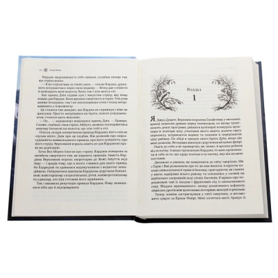 Книга "Блэк Голли. Королева пустоты" (у) (2000) 2
