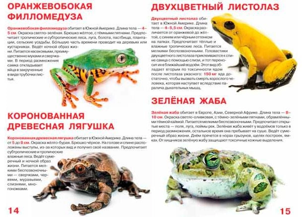 Книга "Большая книга. Лягушки" (р) 1