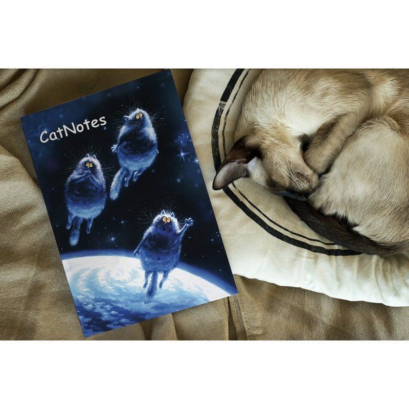 Блокнот А5 80 стор."Cat Notes: Вперед до мрії...", кольор. арк. (0105) 1
