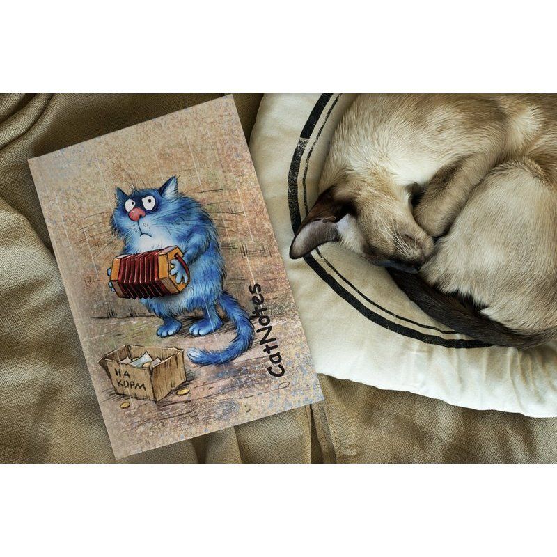 Блокнот А5 80 стор."Cat Notes: На корм...", кольор. арк. (0044) 1