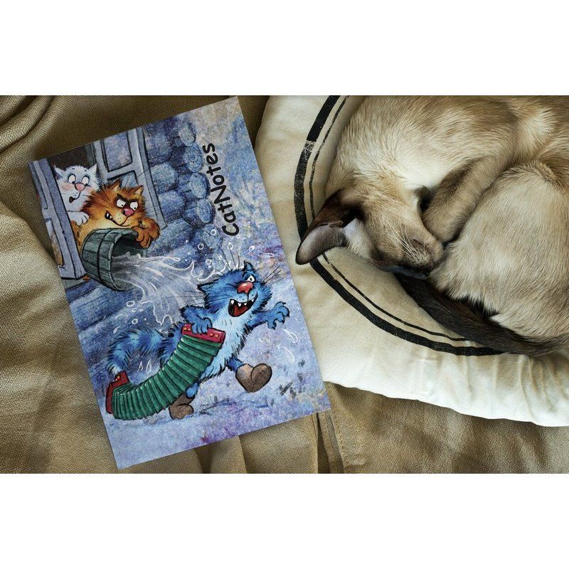 Блокнот А5 80 стор."Cat Notes: Третій зайвий...", кольор. арк. (0068) 2