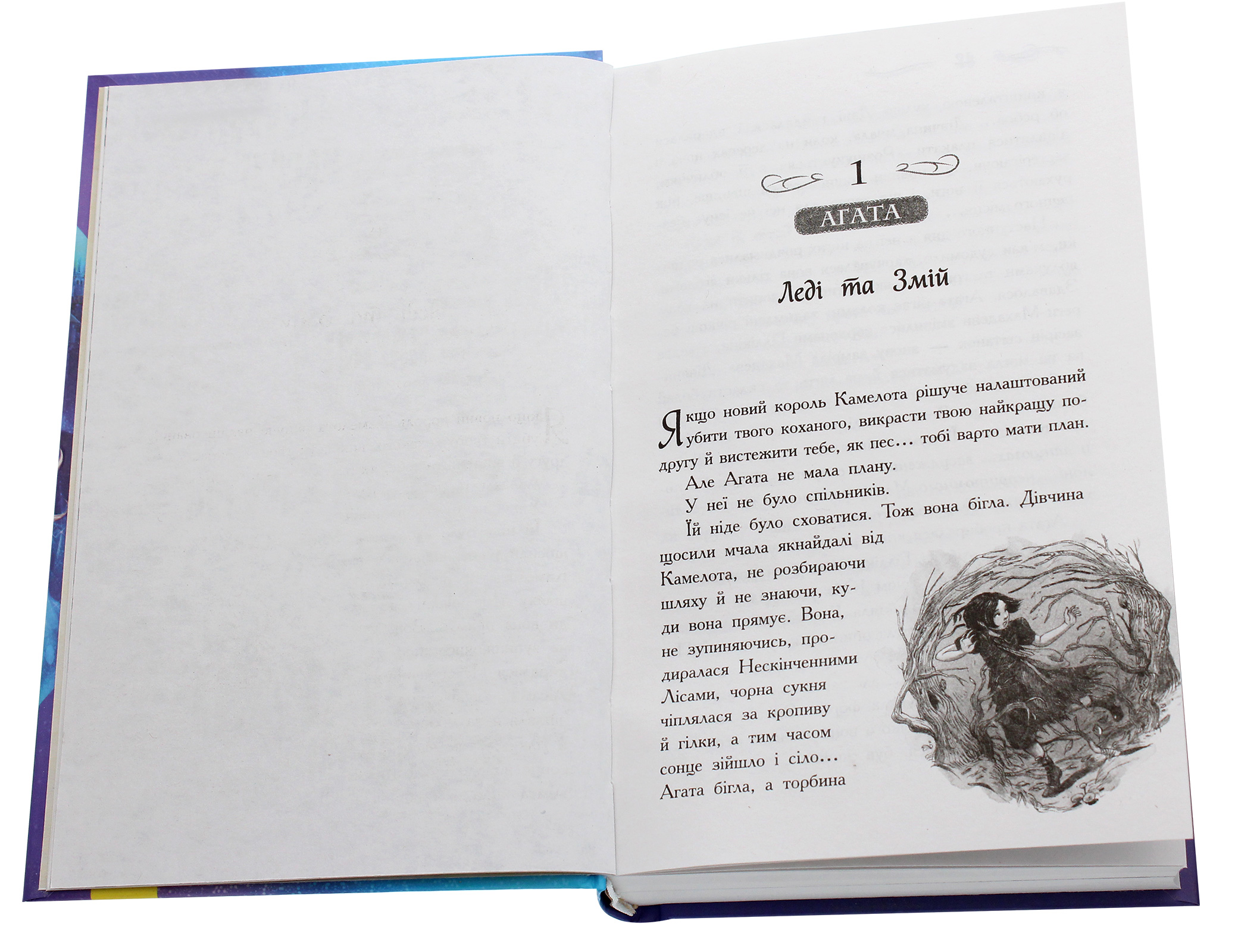 Книга "Школа добра и зла. Кн.5. Кристалл времени. Чейнани С." (у) (3055) 2