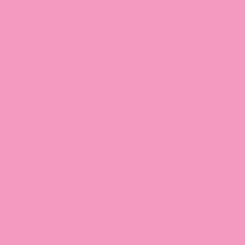 Бумага А4 500 л, 75 г/м², Pink 170 (розовый) ECO Canvas 2