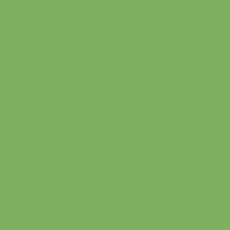 Бумага А4 500 л, 75 г/м², пастель, Green (зеленый) ECO Canvas 2