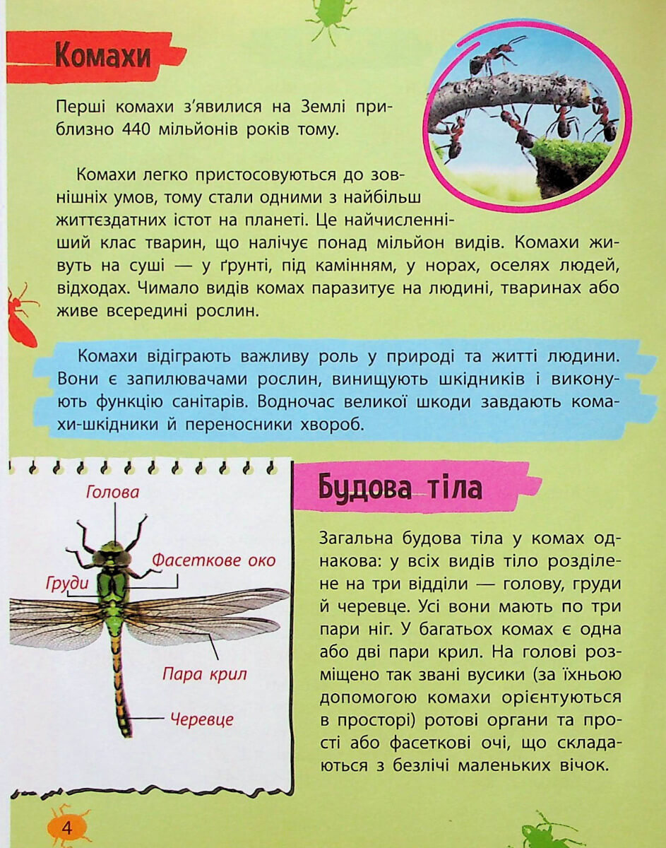 Книга "Миниенциклопедия. Насекомые и пауки" (у) (7234) 2