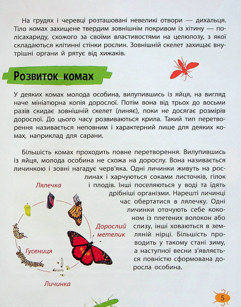 Книга "Миниенциклопедия. Насекомые и пауки" (у) (7234) 3