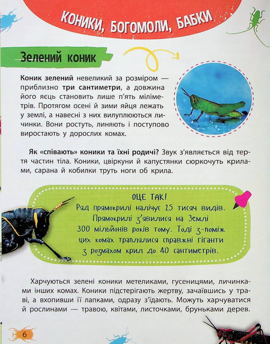 Книга "Миниенциклопедия. Насекомые и пауки" (у) (7234) 4