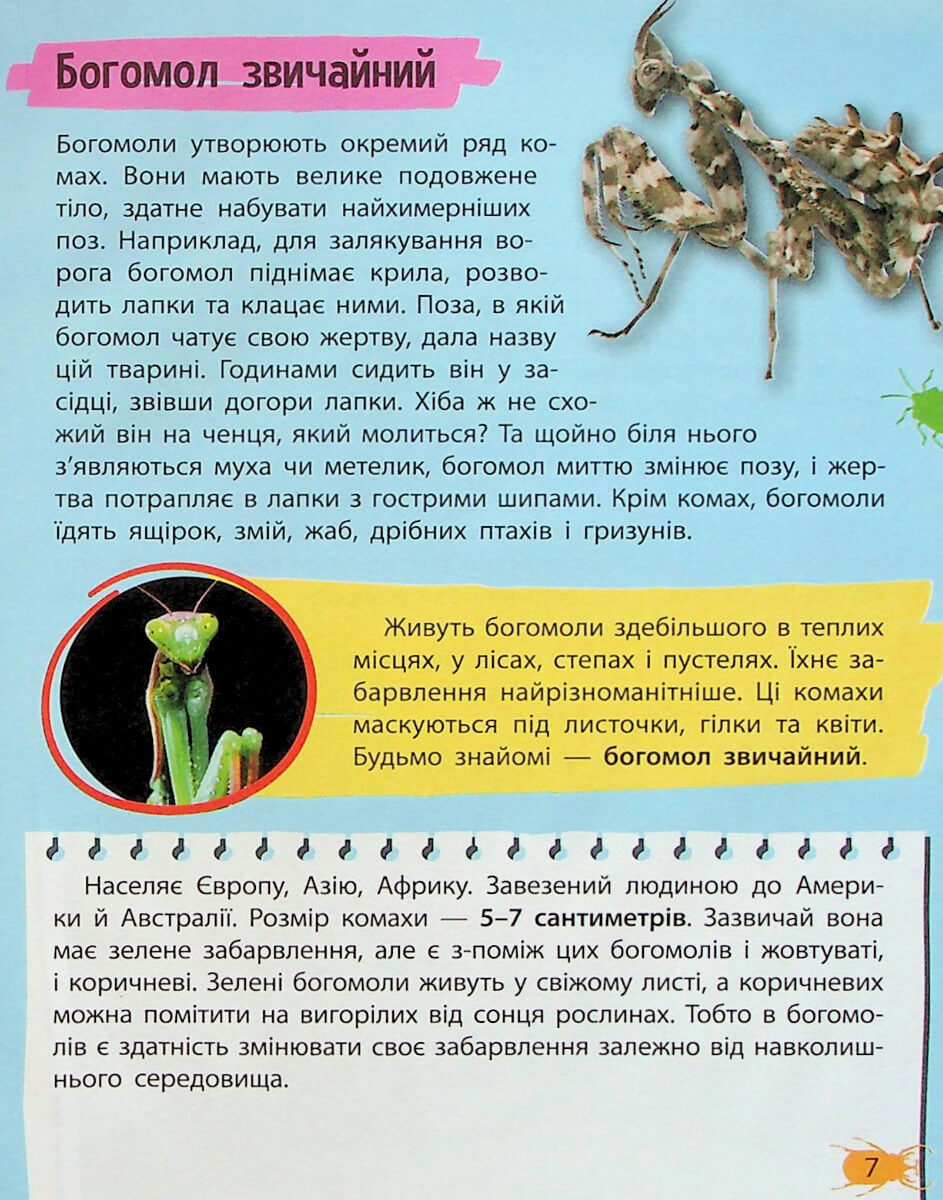 Книга "Миниенциклопедия. Насекомые и пауки" (у) (7234) 5
