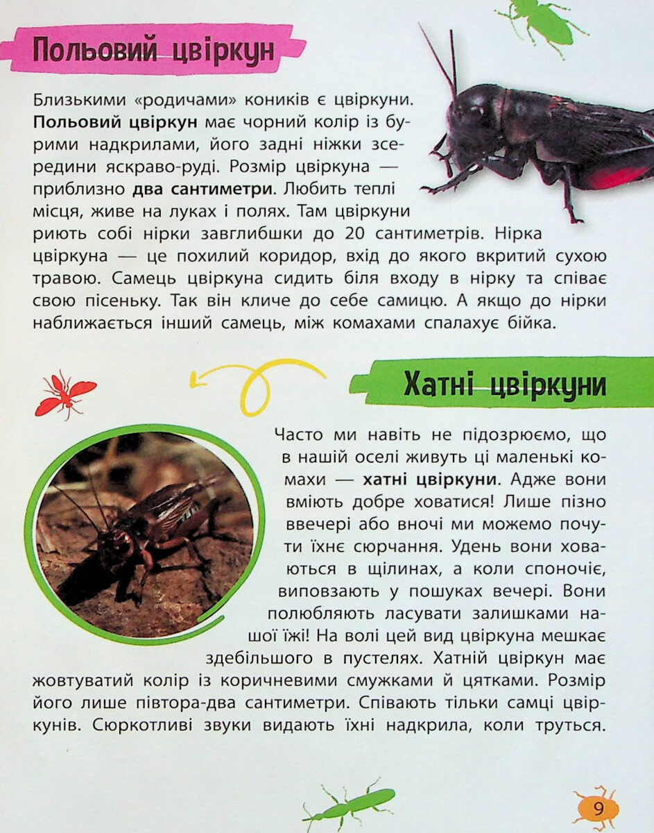 Книга "Миниенциклопедия. Насекомые и пауки" (у) (7234) 7