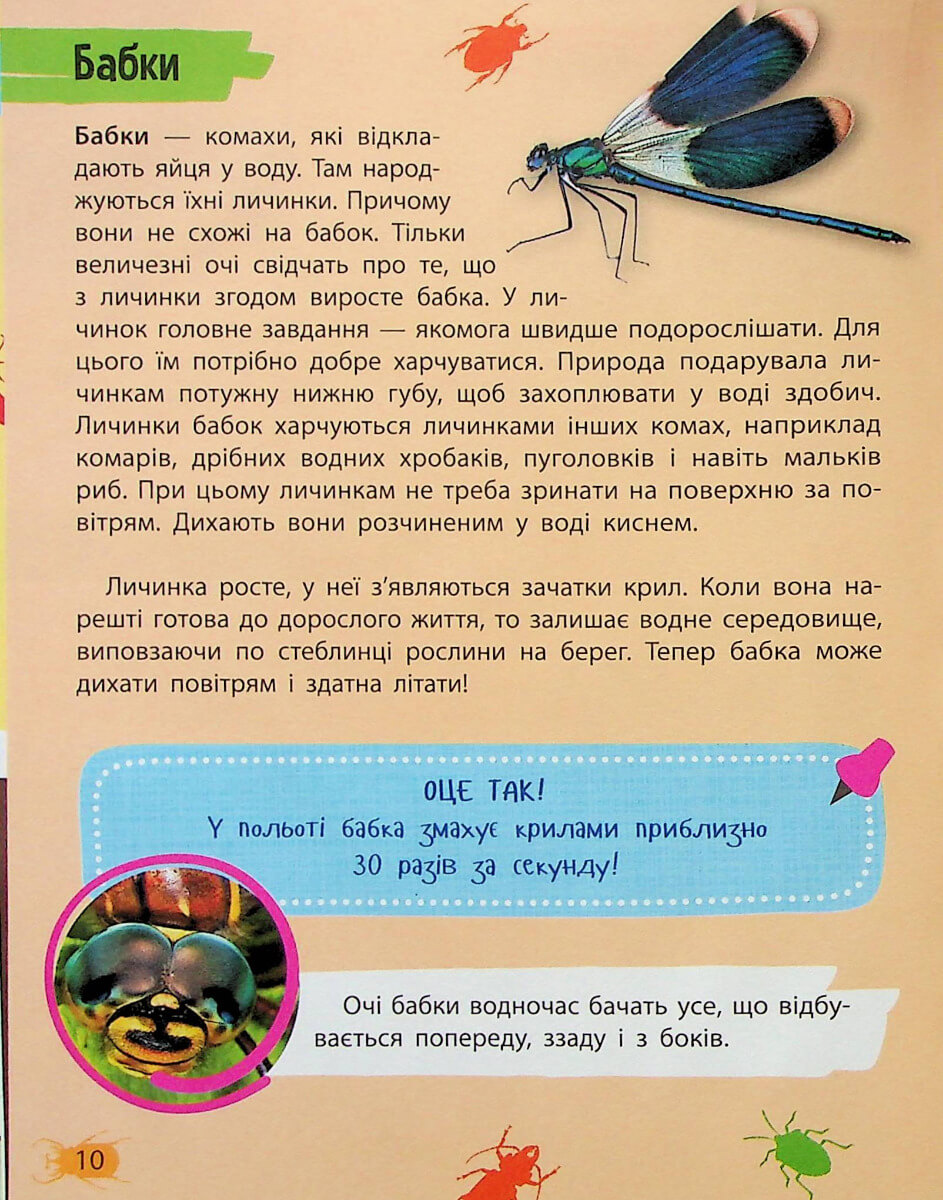 Книга "Миниенциклопедия. Насекомые и пауки" (у) (7234) 8
