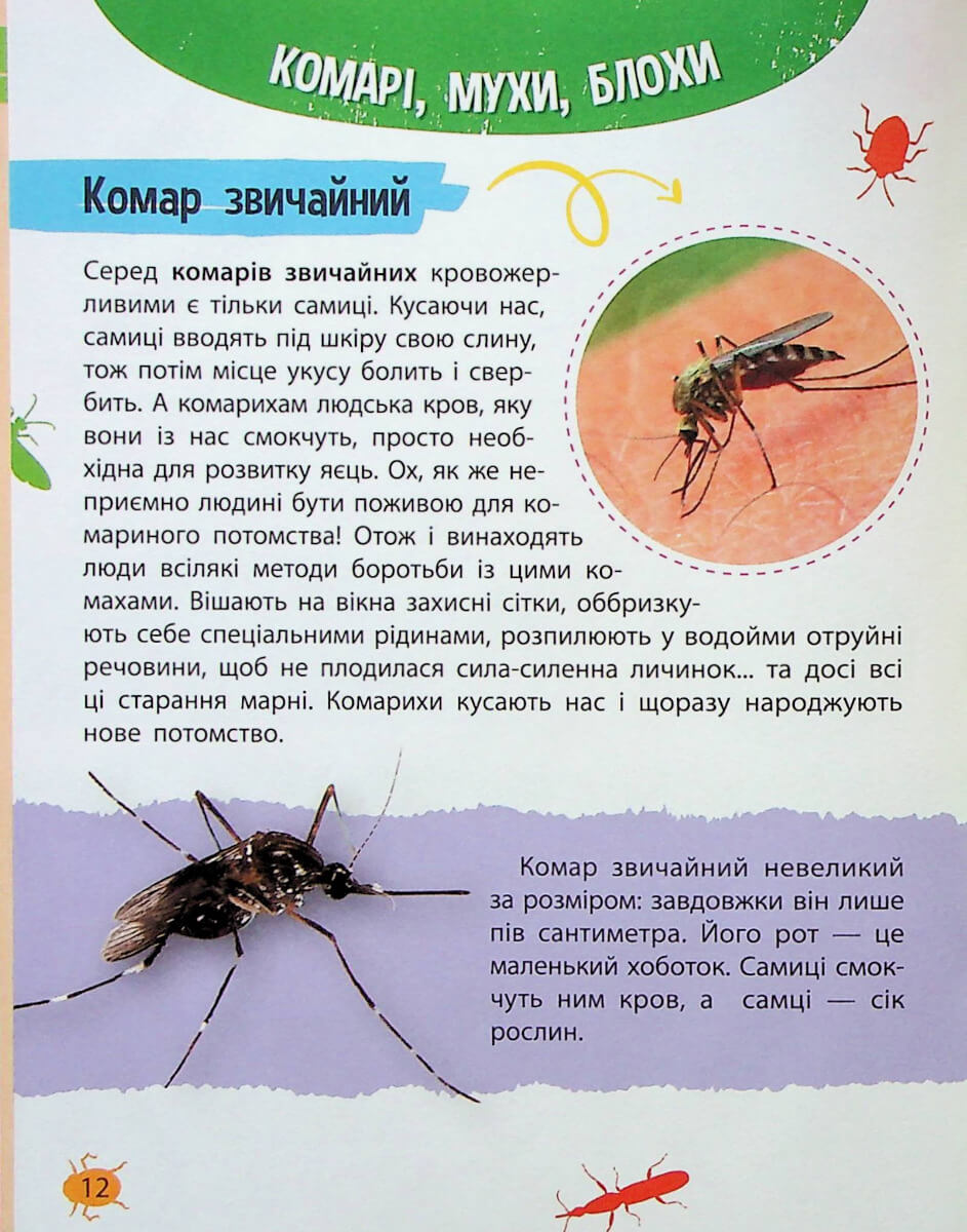 Книга "Миниенциклопедия. Насекомые и пауки" (у) (7234) 10