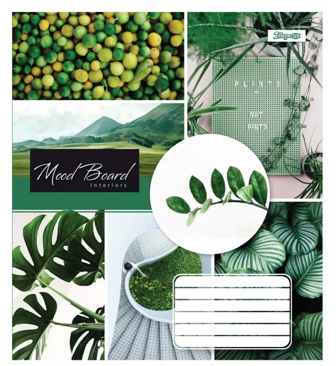 Тетрадь 18 лин. 1В Mood board, 764899 4
