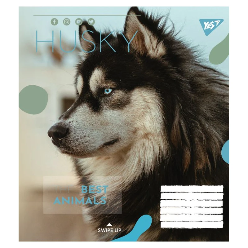 Зошит 24 лін. YES Animal, 764996 1