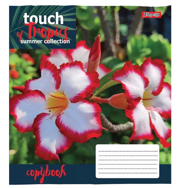 Тетрадь 24 лин. 1В Touch tropics, 765452 2
