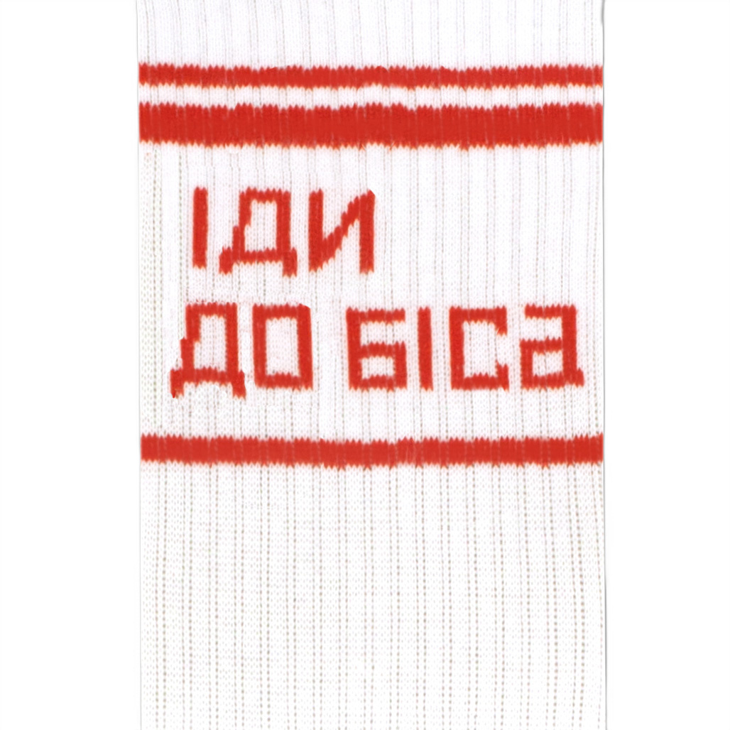 Шкарпетки Іди до біса, 40-45, CEH0032 1