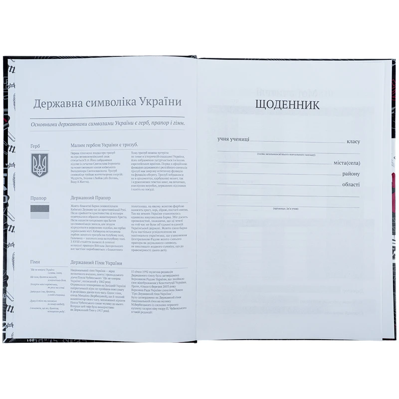 Щоденник шкільний "No future", тверда обкл., K24-262-8 3