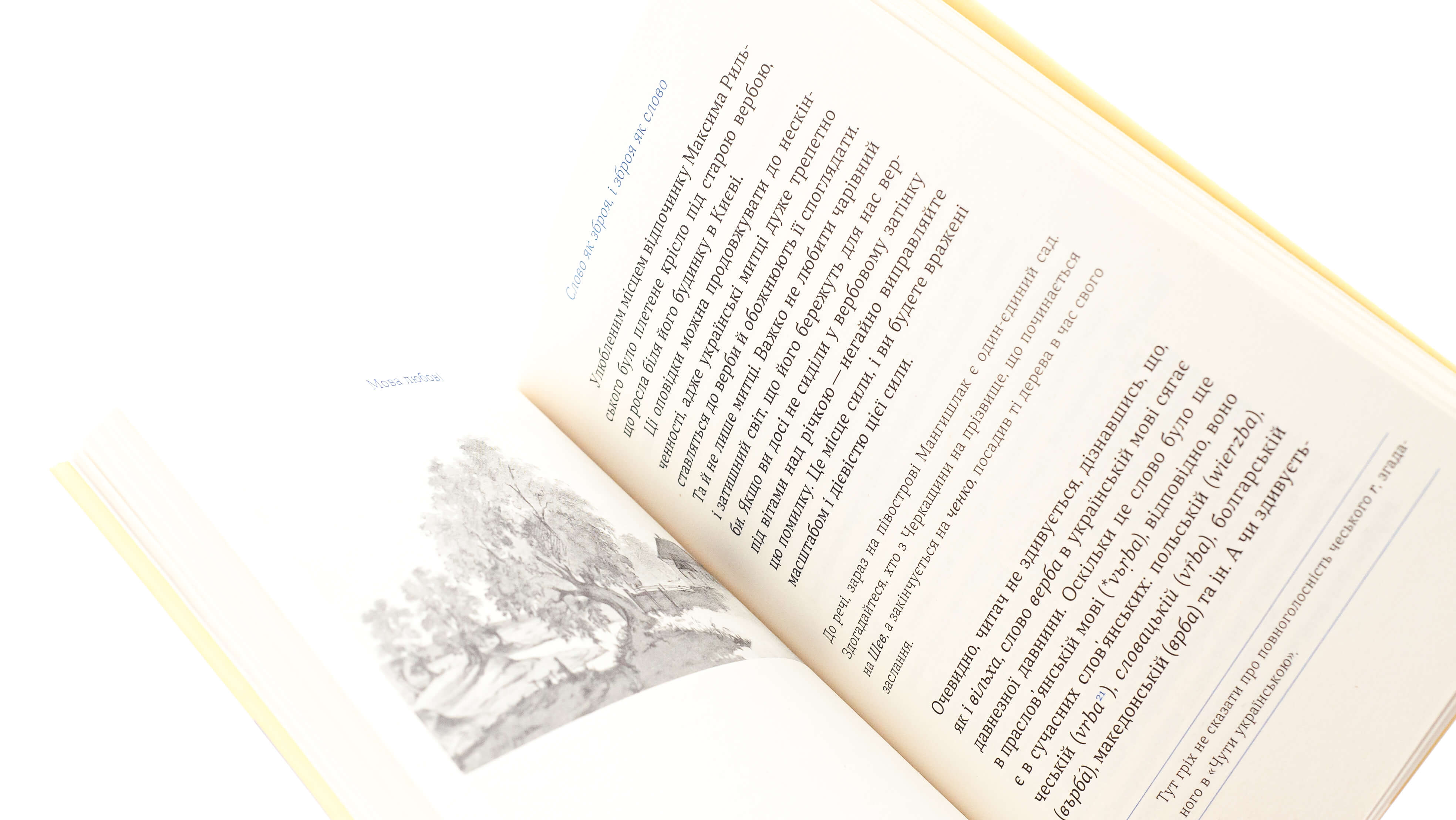Книга "Дубчак О. Перемагати українською. Про мову ненависті й любові" (у) (0729) 3