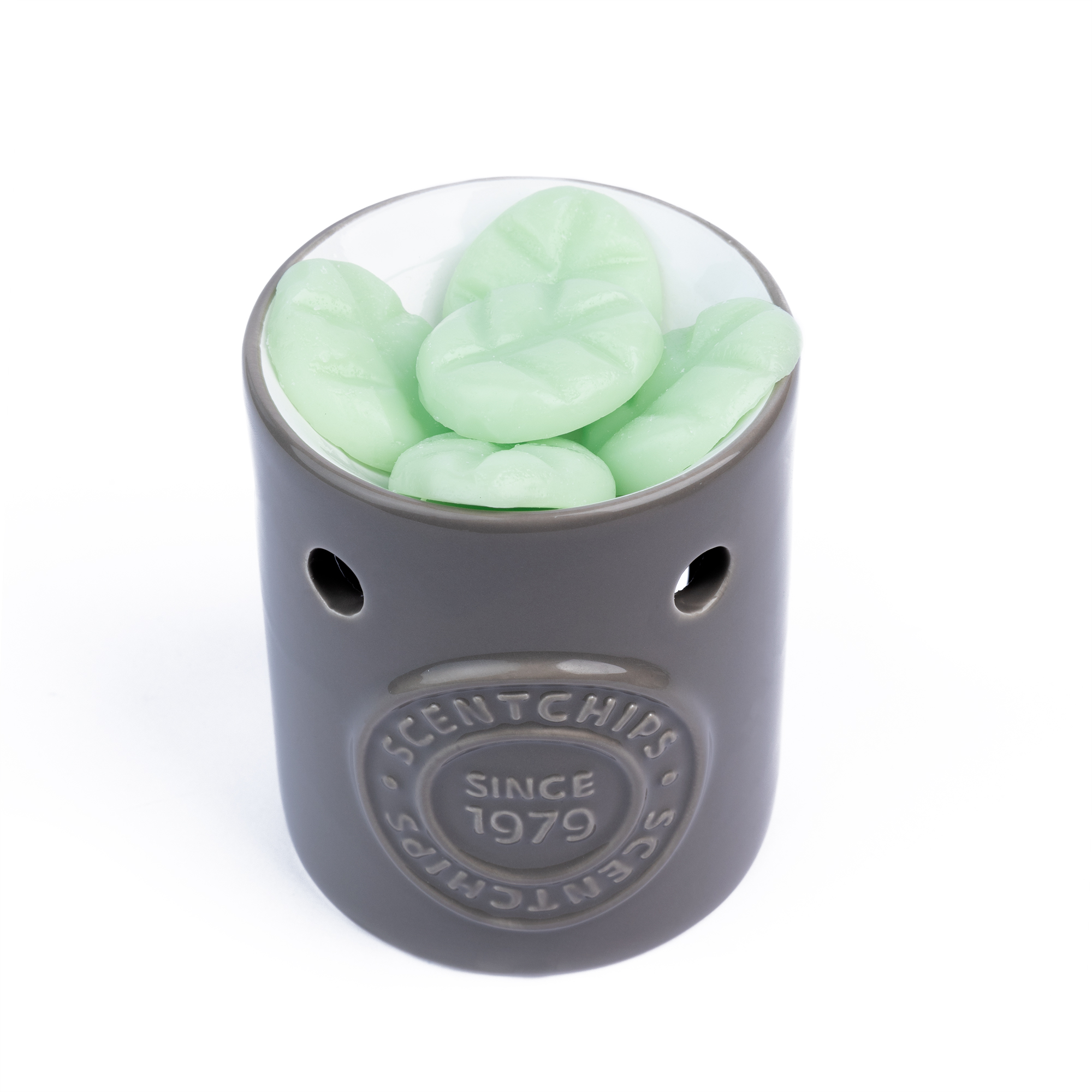 Подарочный ароманабор Scentchips Аромалампа с логотипом "Taupe&Italian", 253809 1