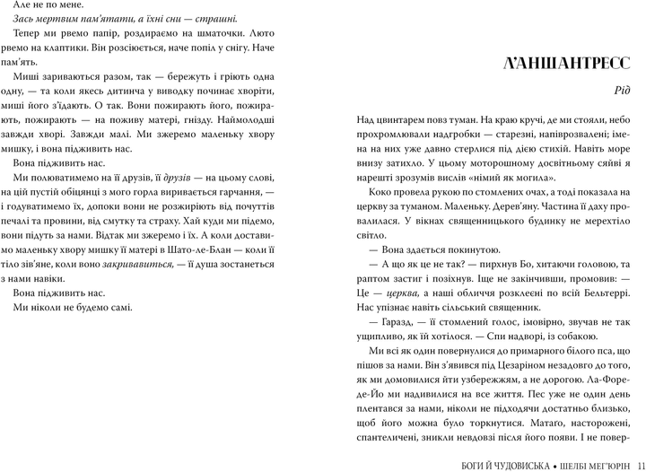 Книга "Мег`юрін Ш. Боги й чудовиська" (у) (3313) 4