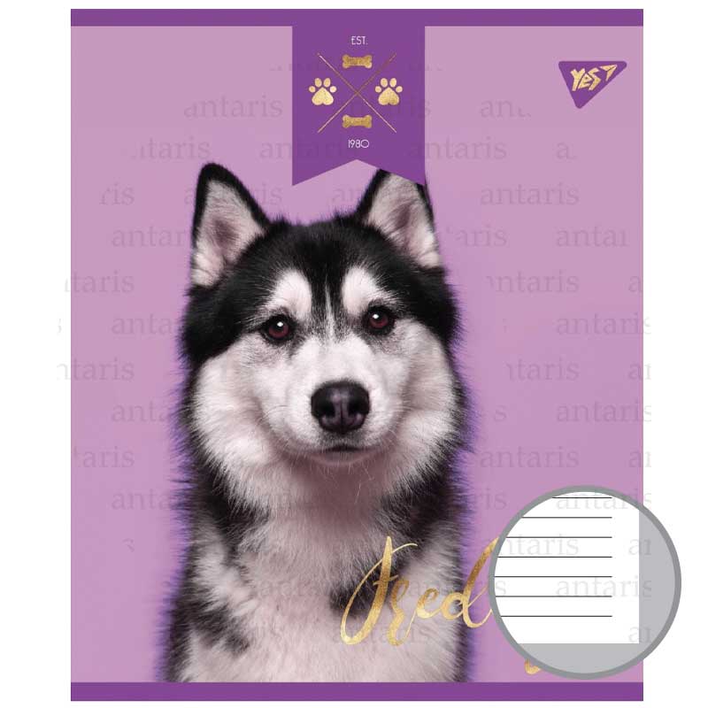 Тетрадь 12 лин. YES "Elegant Dog", 764229 1
