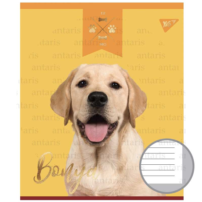 Тетрадь 12 лин. YES "Elegant Dog", 764229 2