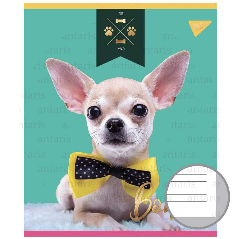 Тетрадь 12 лин. YES "Elegant Dog", 764229 4