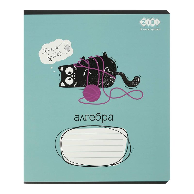 Зошит 48 кл, Предметка - Алгебра, конгрев. тисн. + УФ лак, Crazy cat, ZB.1703-06