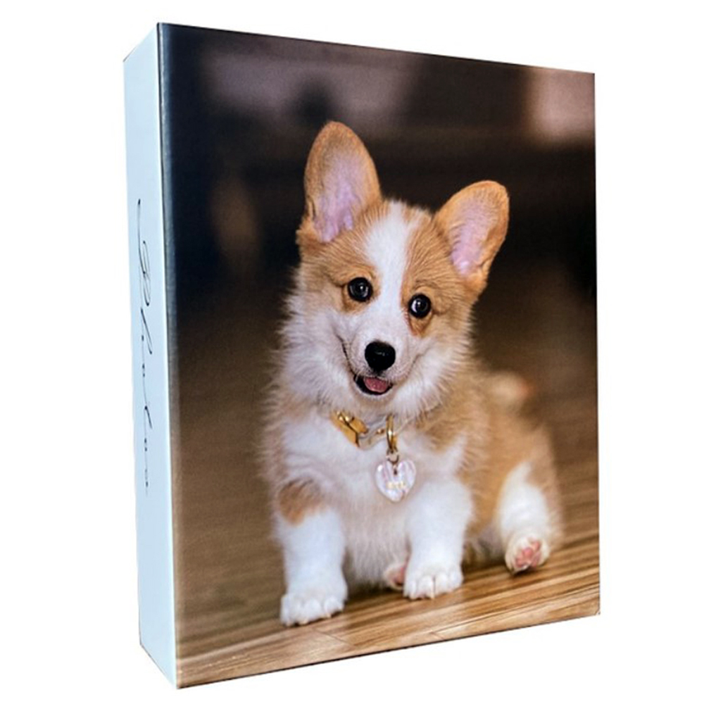 Фотоальбом EVG 10*15*200 BKM46200 Dog 4